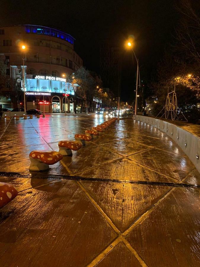 Ecoart Apartments Tiranë Eksteriør bilde